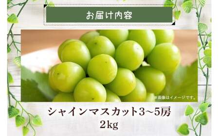 【 2026年 先行予約 】 シャインマスカット 2kg 石田ぶどう園 3房 ～ 5房 種なし ぶどう ブドウ 国産 果物 くだもの 大粒 葡萄 種無し フルーツ 2キロ 9月 10月 発送 秋 旬 