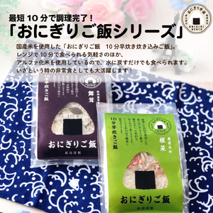 J45_01　セキカワのおうちキャンプ飯ファミリーセット【 キャンプ アウトドア 炊き込みご飯 米 フリーズドライ アルファ米 柚子塩 レトルト 水 時短 保存食 備蓄食 防災 セキカワカナモノ 】