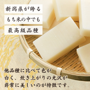 【令和7年産・新潟県特別栽培】こがねもち「切り餅」1kg (500g(10切れ)×2袋) 弥彦村_切餅 お餅 特別栽培米使用 杵つき_【1000688】