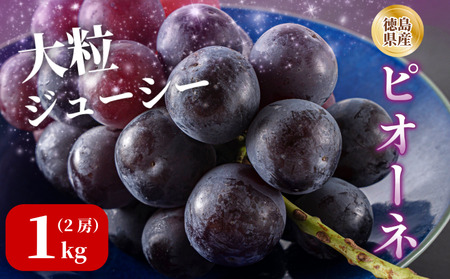 【7月上旬から8月中旬まで発送】ピオーネ 2房 1kg ぶどう 国産
