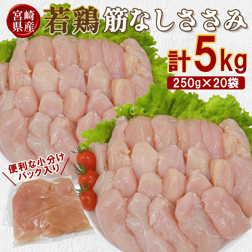 【ふるさと納税】宮崎県産 若鶏筋なしささみ 5kgセット (250g×20袋) 鶏肉 ささみ 鶏ささみ 小分け 真空パック 冷凍 国産 宮崎県産 九州 送料無料