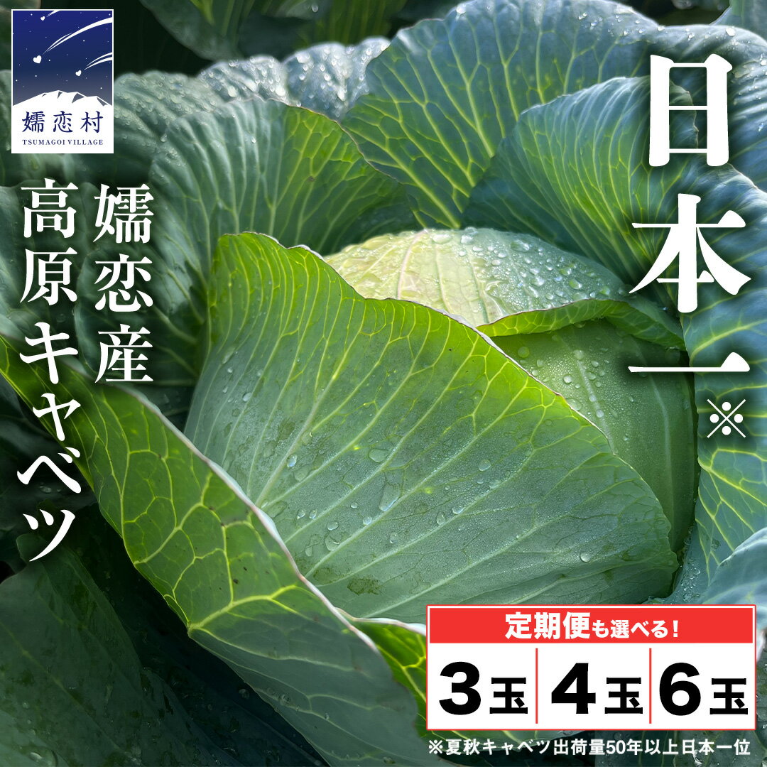 【ふるさと納税】 ≪ レビューキャンペーン ≫ 嬬恋キャベツ 【7月上旬以降発送開始】 ＜選べる数量&お届け回数＞ 定期便 きゃべつ 嬬恋キャベツ 産地直送 群馬 お取り寄せ 野菜 セット Lサイズ ZIP! 新鮮 季節の野菜 旬の野菜