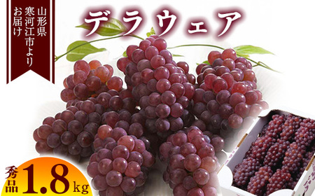 《先行予約》 令和8年産 「デラウェア」 秀品 約1.8kg （8-16房） 種無しぶどう 山形県産【2026年7月末頃 - 8月末頃発送予定】 ※配送不可 沖縄・離島　012-B-MM010