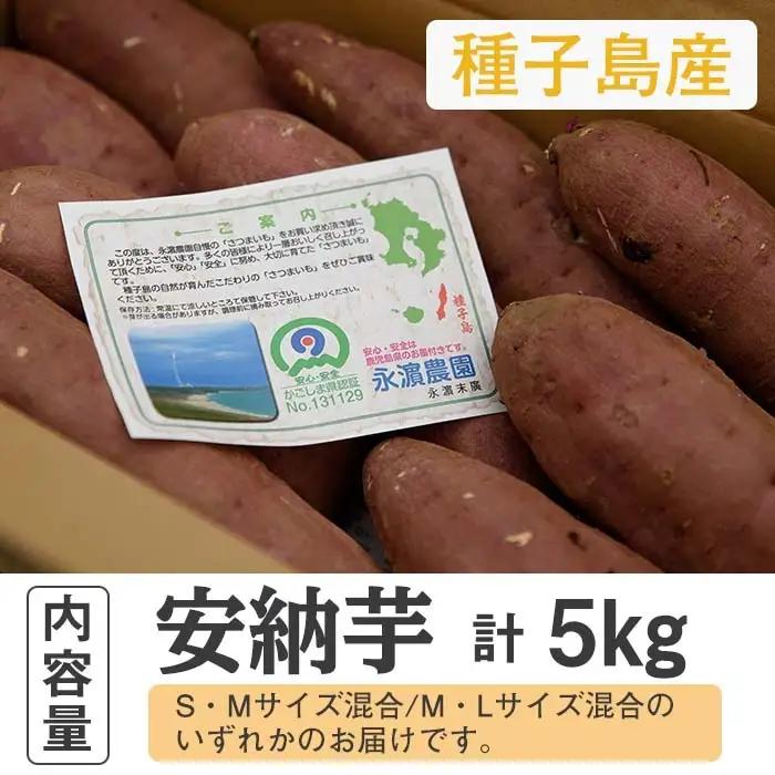 安納芋 5kg さつまいも 【永濱農園】n176