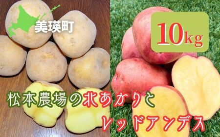 【令和７年産予約受付！】松本農場の北あかり＆レッドアンデス10kg | じゃがいも じゃがいも じゃがいも じゃがいも じゃがいも じゃがいも [014-81]