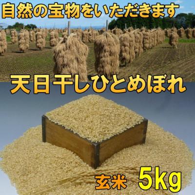 ふるさと納税 奥州市 新米 天日干し ひとめぼれ 玄米 5kg 岩手県奥州市 令和7年産米 5キロ [AC046]
