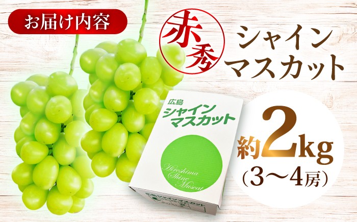 シャインマスカット ぶどう シャイン ブドウ 果実 くだもの 果物 フルーツ