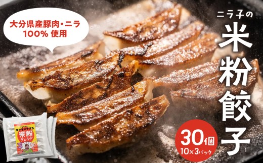 マジでうまい！モチモチすぎるニラ子の米粉ぎょうざ 大分県産豚肉・にら100%使用(ニラ醤油タレ付) 10個入り3パック 米粉 餃子 ギョーザ グルテンフリー もちもち 豚肉 にら ニラ醤油 ヘルシー 