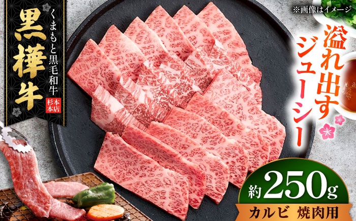 
                  くまもと黒毛和牛 黒樺牛 A4～A5等級 カルビ 焼肉用 約250g（約250g×1P）/ カルビ 焼き肉 熊本 黒毛和牛 牛肉 A5ランク A4ランク 黒樺牛 国産肉 国産牛 【株式会社杉本本店】[AYBJ031]
                