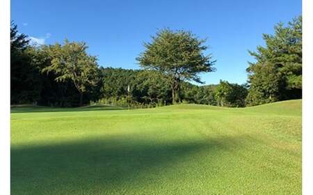 岐阜スプリングゴルフクラブ（ゴルフプレー割引券）10枚