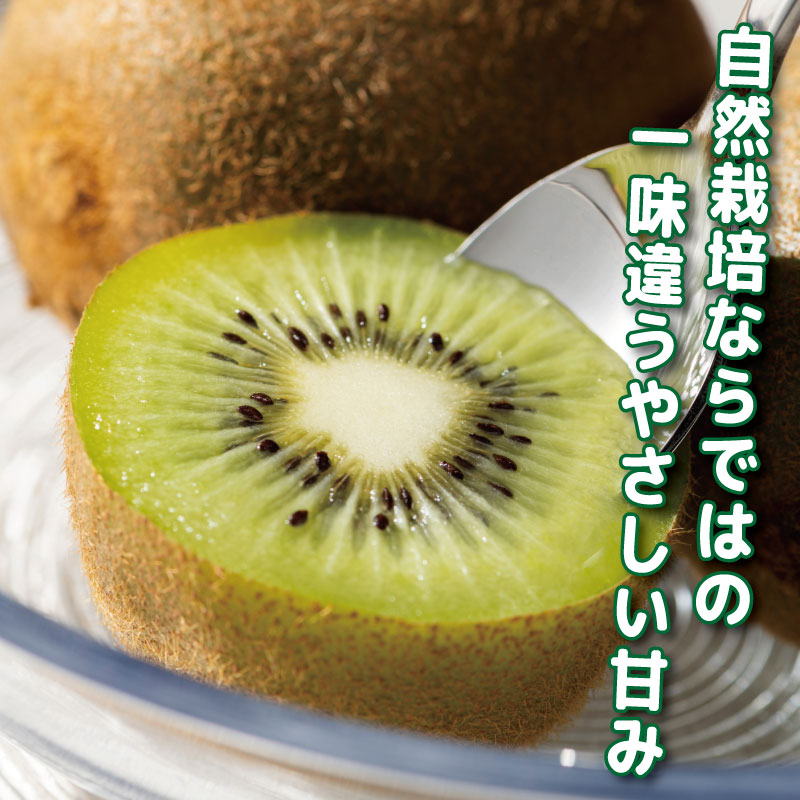 キウイ フルーツ 1kg キウイ 国産 フルーツ 果物 自然栽培 無農薬 ヨーグルト ジュース サラダ ビタミン 食物繊維 ダイエット 減量 美容 健康志向 お取り寄せ みその農園 徳島県 小松島市