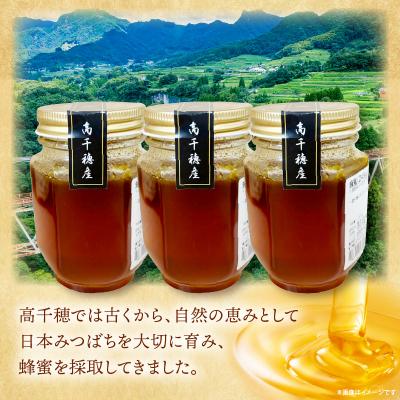 ふるさと納税 高千穂町 日本みつばち 高千穂の純粋蜂蜜 245g×3本 |  | 01