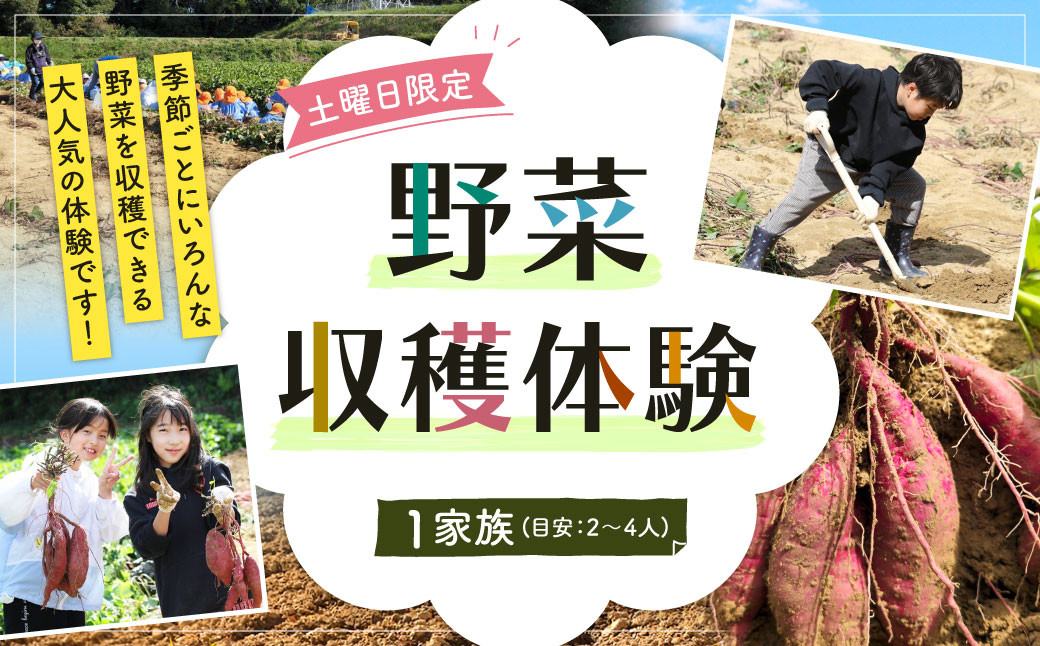 北九州市 野菜収穫体験 1家族(目安：2～4人) 【収穫可能期間 4月～8月 】 野菜 夏野菜 農家 農業体験 休日 体験 畑 収穫 チケット 福岡県 【土曜日限定】