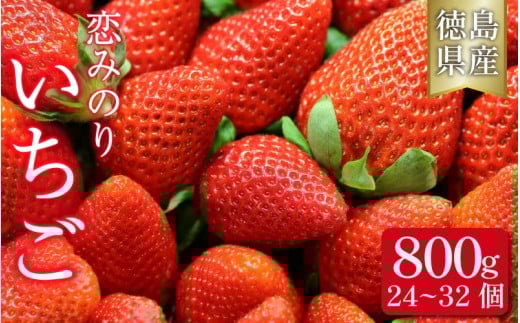 いちご 恋みのり 800g 果物 フルーツ 苺 ストロベリー ジャム スムージー 洋菓子 家族 子ども フルーツサンド フルーツ大福 いちご大福 苺大福 人気 オススメ お取り寄せ グルメ いちご狩り