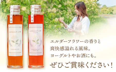 とかちエルダーの雫 シロップ プレーン 150ml 2本 コーディアル《30日以内に出荷予定(土日祝除く)》株式会社FF工房 エルダーフラワー 調味料 加工食品 北海道 浦幌町