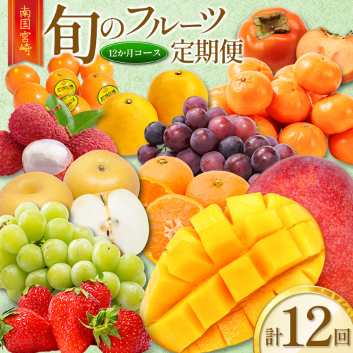 旬のフルーツ定期便 12か月コース【F113-25】