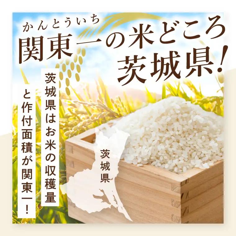 【数量限定】【令和7年産】茨城県産こしひかり 10kg×1袋（茨城県共通返礼品/城里町）【お米 ごはん コシヒカリ おいしい 白米 茨城県産 水戸市】（IH-123）