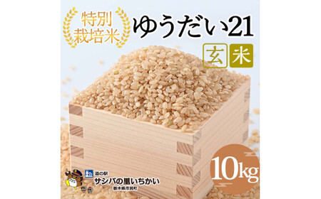 市貝町産 特別栽培米〈ゆうだい21〉玄米10kg ｜ 国産 栃木県産米 お米 特別栽培米 栃木米 とちぎ米 ※離島への配送不可 ※9月中旬頃より順次発送予定