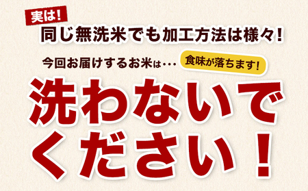 【6ヶ月定期便】熊本県産 さとほまれ 無洗米 ご家庭用 定期便 10kg 《申込み翌月から発送》熊本県 玉名郡 玉東町 米 こめ コメ ブレンド米 送料無料｜人気米 熊本県産米 お米 生活応援米