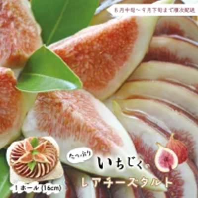 ふるさと納税 四万十市 【早期受付・数量限定】いちじくたっぷりのレアチーズタルト【2025年8月中旬〜9月下旬配送】