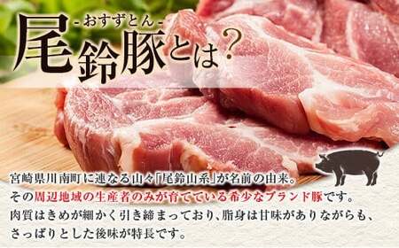 【PREMIUM PORK】 尾鈴豚 ハム ソーセージ 詰め合わせ 合計885g 6種 セット 宮崎県産