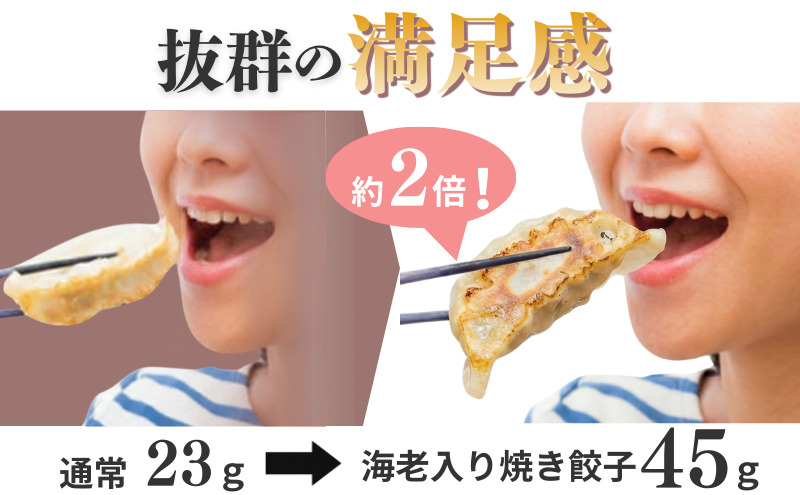 焼き餃子 羽田名物 海老入り焼き餃子 （10個入り）餃子 ぎょうざ ギョウザ 海老 本格餃子 冷凍 おかず 惣菜 中華 手包み 豚バラ肉 11種のスパイス ニンニク不使用 大田区 東京都