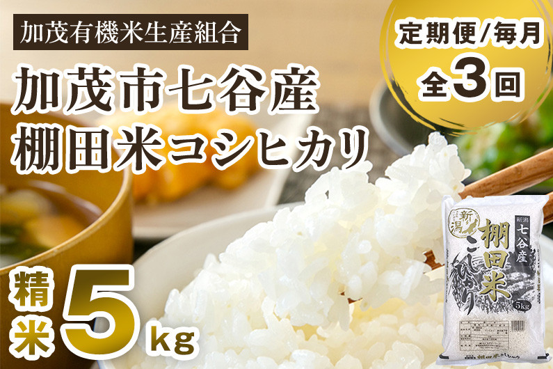 
            【令和7年産新米先行予約】【定期便3回毎月お届け】七谷産 棚田米 コシヒカリ 精米 5kg 《10月中旬から順次出荷》 白米 加茂有機米生産組合 新潟県 加茂市産 白米 米 お米 定期便
          