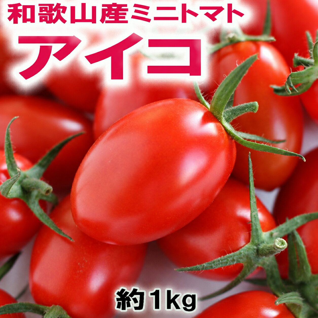 【ふるさと納税】和歌山産ミニトマト「アイコトマト」約1kg（M・Lサイズおまかせ）［2027年出荷分］【発送月をお選びいただけます】