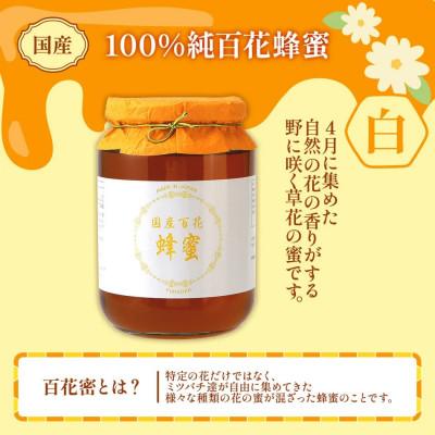 ふるさと納税 大木町 国産蜂蜜ギフト(白)　1,000g　CD01 |  | 01
