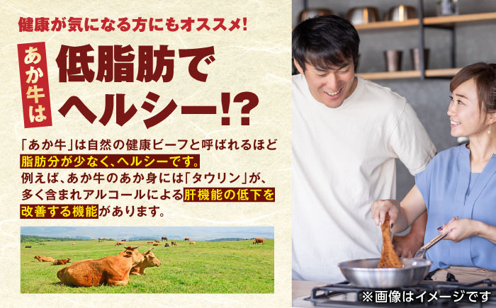肥後の赤牛 ハンバーグ 150g×10個 計1.5kg 熊本県産 牛肉100％ 赤牛 ジューシー 褐牛 あかうし 褐毛和種 肥後 冷凍 国産 牛肉 熊本 【やまのや】[YDF001] 10000 10