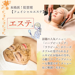 ＜数量限定＞フェイシャルエステ利用券(3,000円分(3,000円×1枚分)/フェイシャルエステプラン全メニューに使用可) ハーブピーリング ララピール ニキビ 小顔リフトアップ 美容 サロン レディ