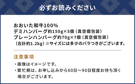 おおいた和牛ハンバーグ デミ＆プレーンハンバーグ 12個 合計約1.2kg | 津久見市
