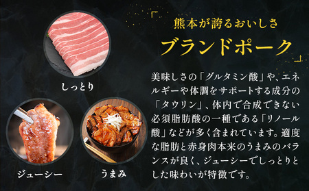 りんどうポーク ロース しゃぶしゃぶ用 計800g（400g×2パック）《90日以内に出荷予定(土日祝除く)》熊本県産 ブランド 豚肉