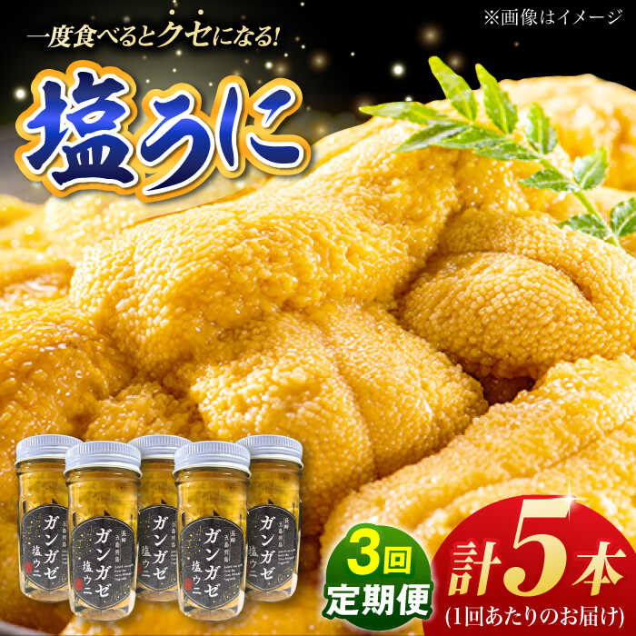 【ふるさと納税】【全3回定期便】ガンガゼ塩うに 70g×5本 / ウニ 雲丹 五島市 / うた丸[PGA006]