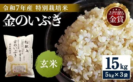 【令和7年産米】玄米 特別栽培米 金のいぶき 15kg 玄米 [D5-2101]