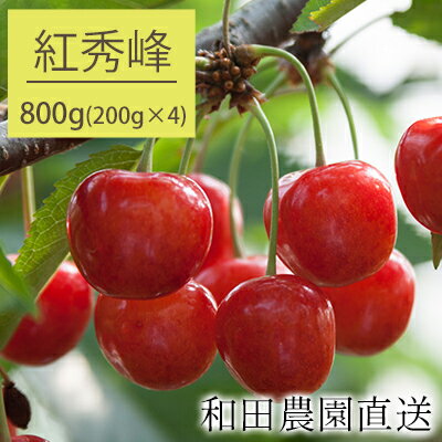 【ふるさと納税】[先行受付] 北海道 仁木町産 さくらんぼ 紅秀峰 800g（400g×2パック） サクランボ チェリー フルーツ 果物 果物類 仁木町 仁木 [和田農園]　お届け：2026年7月15日～7月27日頃