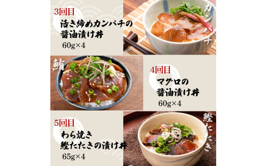 【5回定期便】土佐の海鮮丼セット（ブリ・タイ・カンパチ・マグロ・カツオ）各4Pずつ 漬け丼の素 鰤 ぶり 鯛 たい 鮪 まぐろ 鰹 かつお かんぱち 新鮮 魚 おかず【企業組合　宇佐もん工房】 [BQ