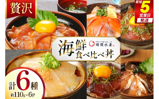 海鮮丼 海鮮漬け丼 6種 贅沢食べ比べ丼 1p 約110g 6p 真空パック [請関水産 宮崎県 日向市 452061668] 海鮮丼の具 海鮮 海鮮丼セット 海鮮 食べ比べ 丼 冷凍 ギフト 漬け丼