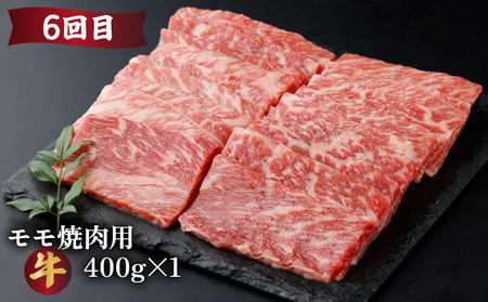 【定期便・全6回】宮崎牛・宮崎県産豚肉 6ヶ月定期便！6.9kg_K030-T002