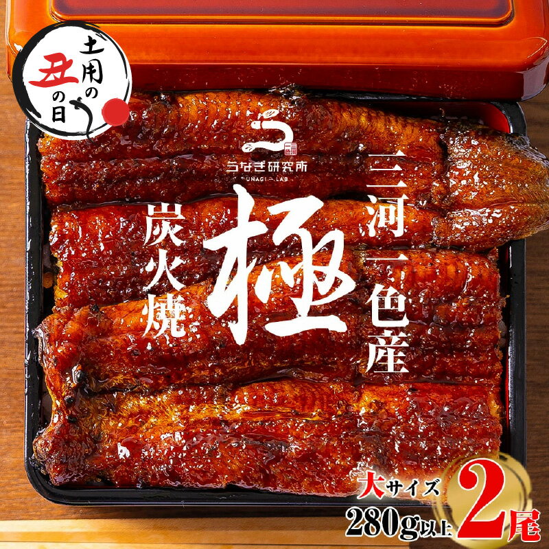 【ふるさと納税】＼ 土用丑の日 ／三河一色産うなぎ蒲焼大2尾(280g以上)・R004 うなぎ 鰻の蒲焼 蒲焼 鰻蒲焼 たれ タレ付き 三河一色産 ブランド鰻 一色産うなぎ ブランド 惣菜 肉厚 脂乗り 国産 愛知県産 特産品 グルメ ギフト おすすめ 冷凍 愛知県 西尾市 送料無料