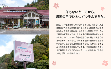 手作り切り餅（あんこときなこ付き）セット 餅 お正月 あんこ きなこ 切り餅 個包装 もち おすすめ お中元 お歳暮 ギフト 送料無料 二本松市 ふくしま 福島県 送料無料【道の駅さくらの郷】