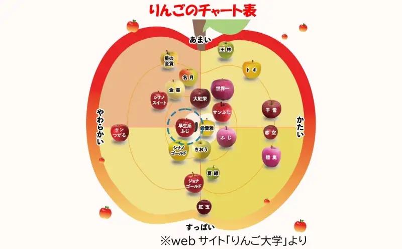 りんご 早生ふじりんご 青森県産 贈答用早生ふじ りんご【約5kg】【9〜10月発送】