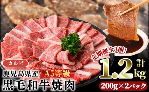 ＜【定期3回】200g×2パック×3回＞A5等級鹿児島県産黒毛和牛カルビ焼肉(計1.2kg・200g×2パック×3回) カルビ 焼肉 黒毛和牛【LRプラスK】T44
