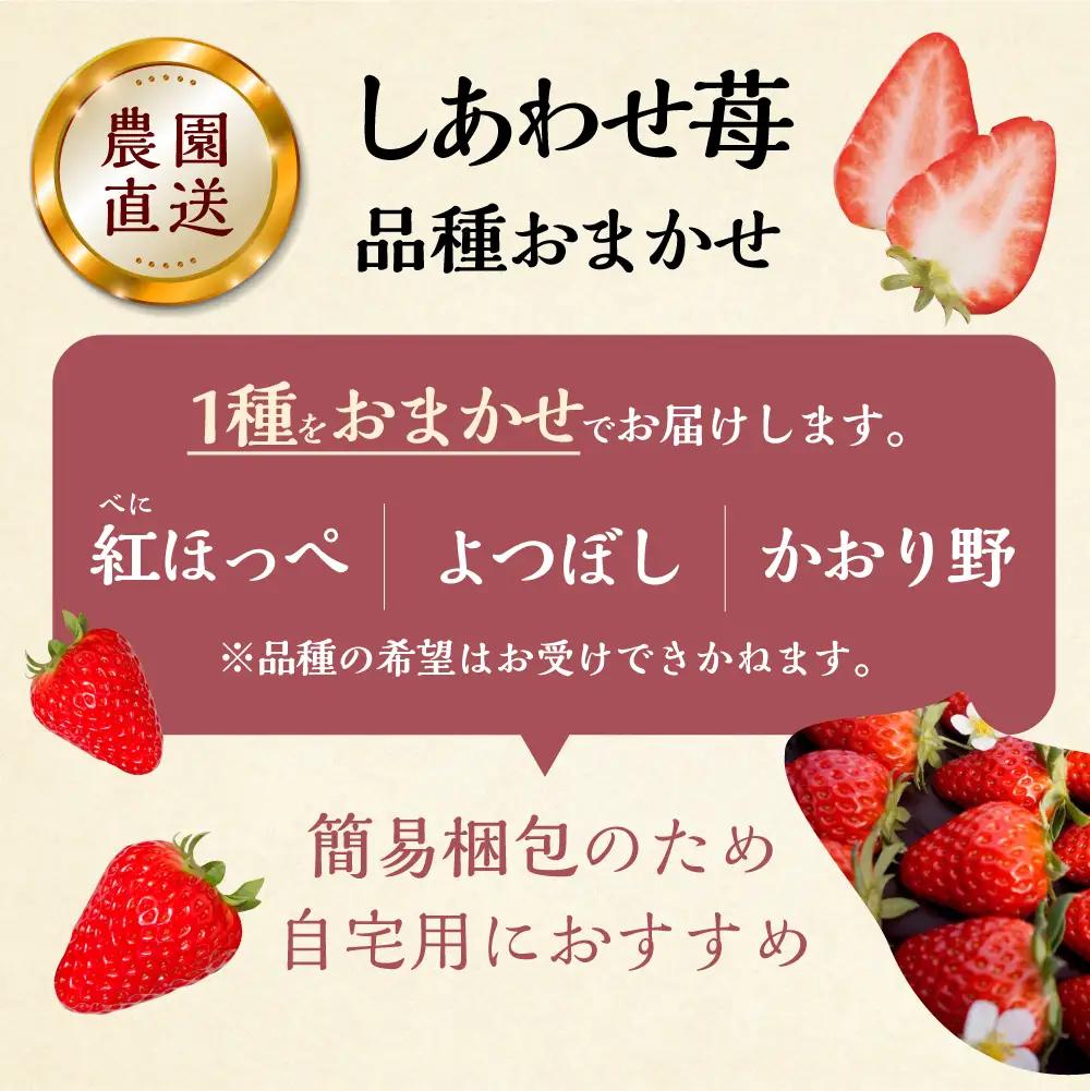 【定期便3回】【2027年1月より発送開始】いちご贅沢 紅ほっぺ 1kg ( 250g × 4p ) しあわせ苺 サイズ バラバラ 訳あり 訳アリ 含む 農園直送 フルーツ 苺 イチゴ 人気 本巣市 