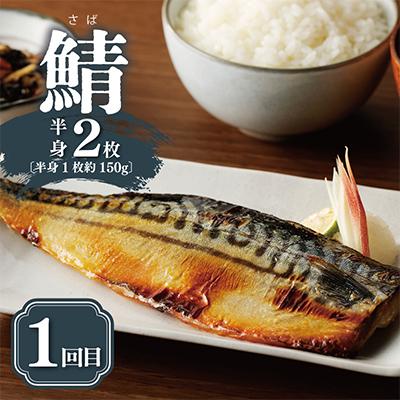 ふるさと納税 泉佐野市 【毎月定期便】厳選素材 西京漬け 3種食べ比べ 全3回 099Z181 |  | 01