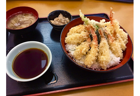 （先行予約）鳥取網代港 ≪幻のエビ≫朝獲れ！活モサエビ約500g【さかなや新鮮組】発送は2027年2月～【23003】