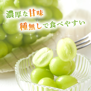 ぶどう 2024年 先行予約 ご家庭用 シャイン マスカット 2～3房 合計約1.2kg ブドウ 葡萄  岡山県産 国産 フルーツ 果物 ギフト