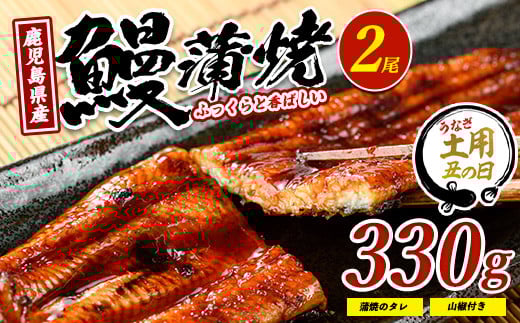 【丑の日に合わせてお届け！】鹿児島県産鰻の蒲焼(無頭背開き)約165g×2尾(山中水産/016-1065u)【2025年7月9日～7月19日お届け】うなぎ 国産 鹿児島 蒲焼 丑の日 丑 土用丑の日