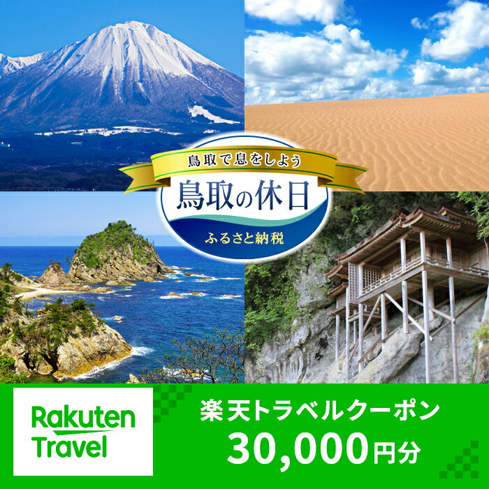 【ふるさと納税】鳥取県の対象施設で使える　楽天トラベルクーポン　寄付額100,000円(クーポン30,000円)_鳥取砂丘 皆生 三朝 大山 夏旅 お盆休み 温泉宿 宿泊 露天風呂 岩牡蠣 白イカ 星取県 旅行券 電子クーポン 送料無料_T2600250