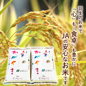 【新米】予約受付 令和7年度産 精米 5kg 彩のかがやき お米  10月中旬以降順次発送 米 埼玉県 羽生市